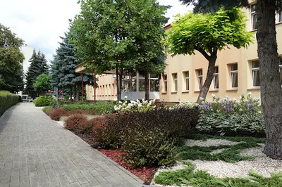 Żłobek nr 11 „Słoneczko”